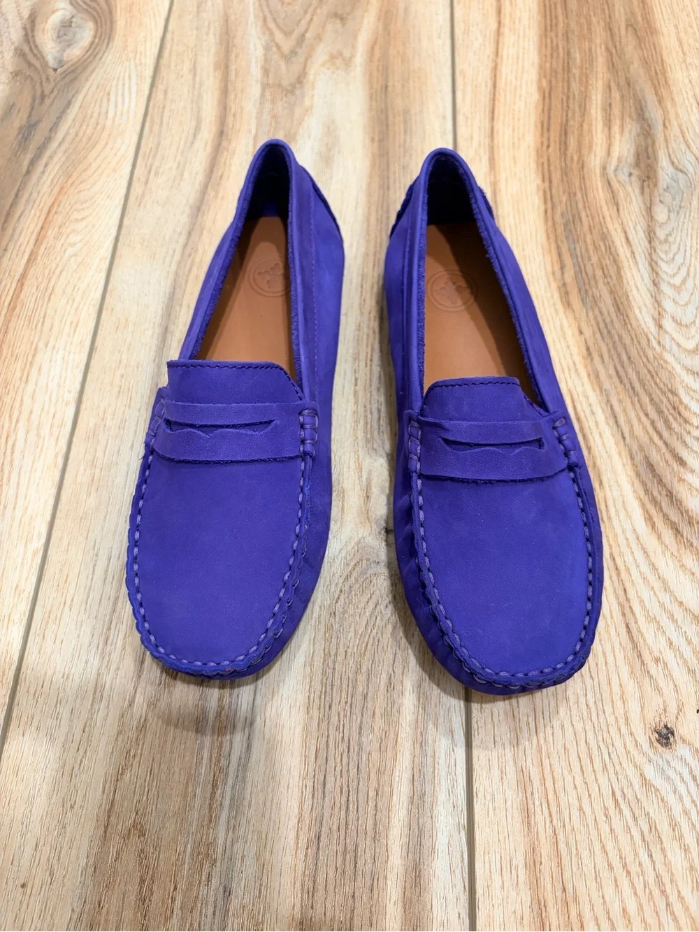 Purple Suede Penny Loafers - Charleston Shoes